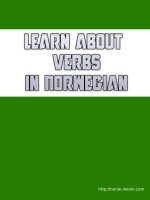 Learn About Verbs in Norwegian